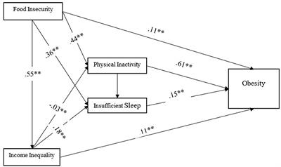 The indirect effects of food insecurity on obesogenic environments